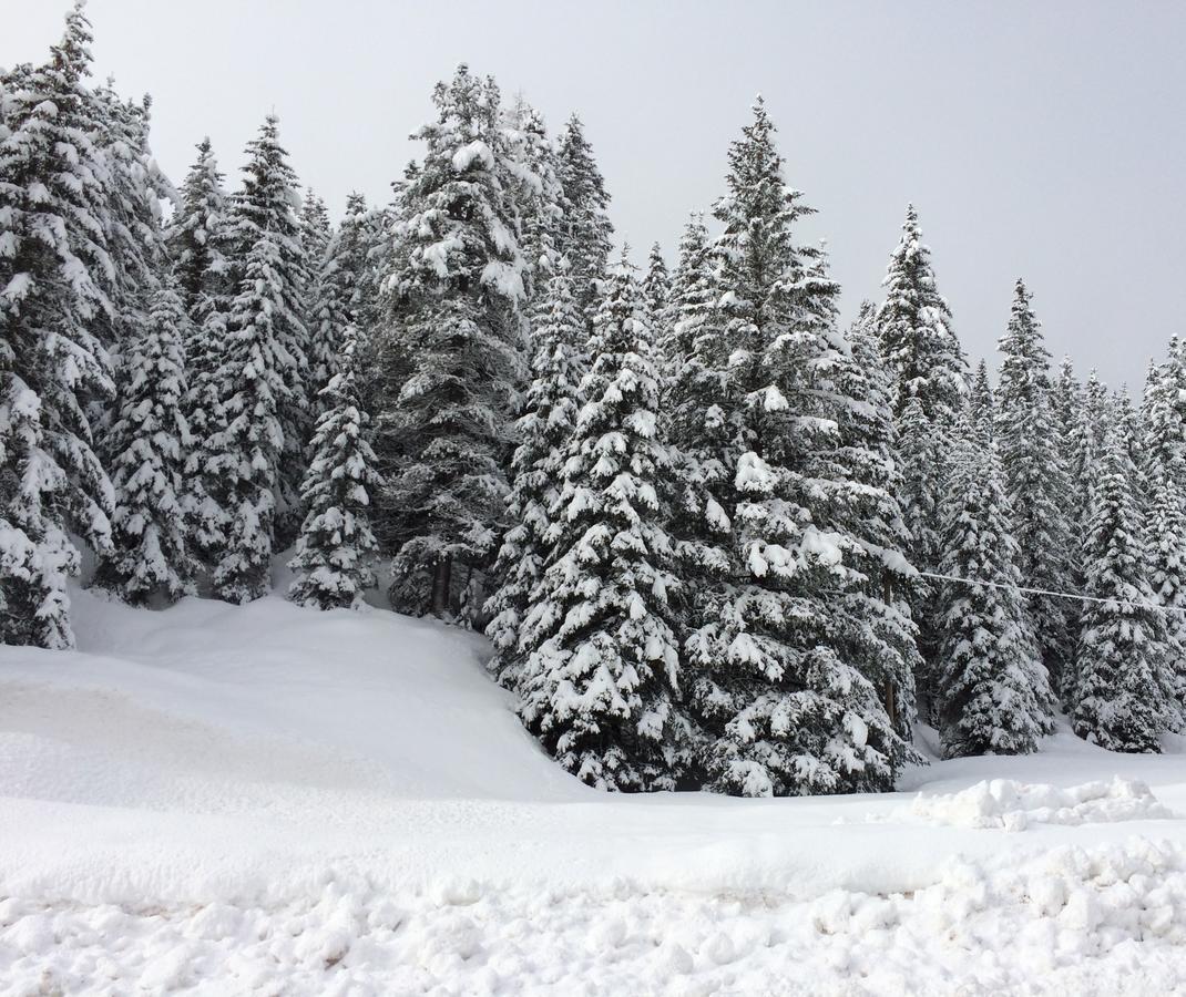 Rifugio Monti Pallidi Canazei Esterno foto