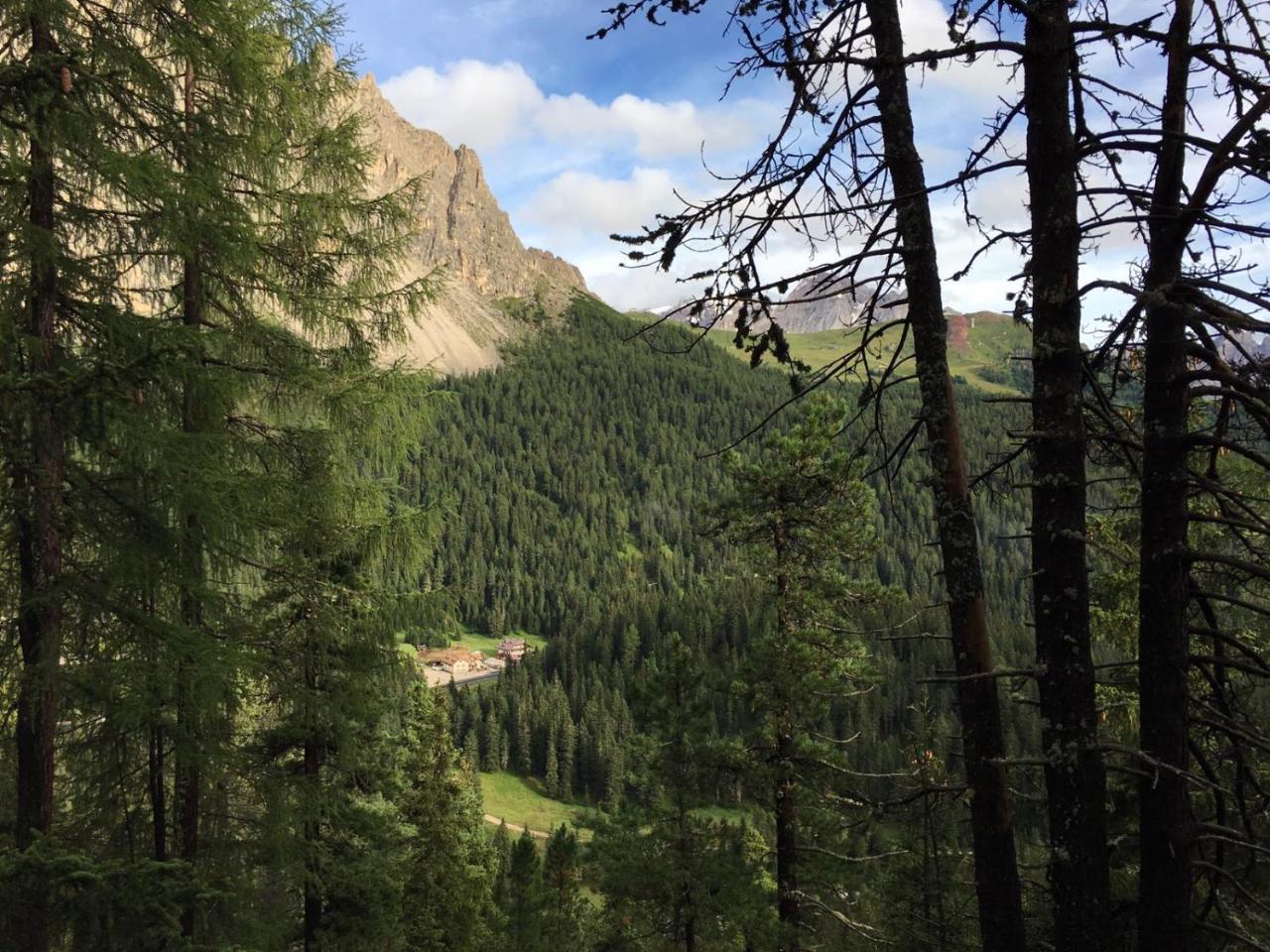 Rifugio Monti Pallidi Canazei Esterno foto