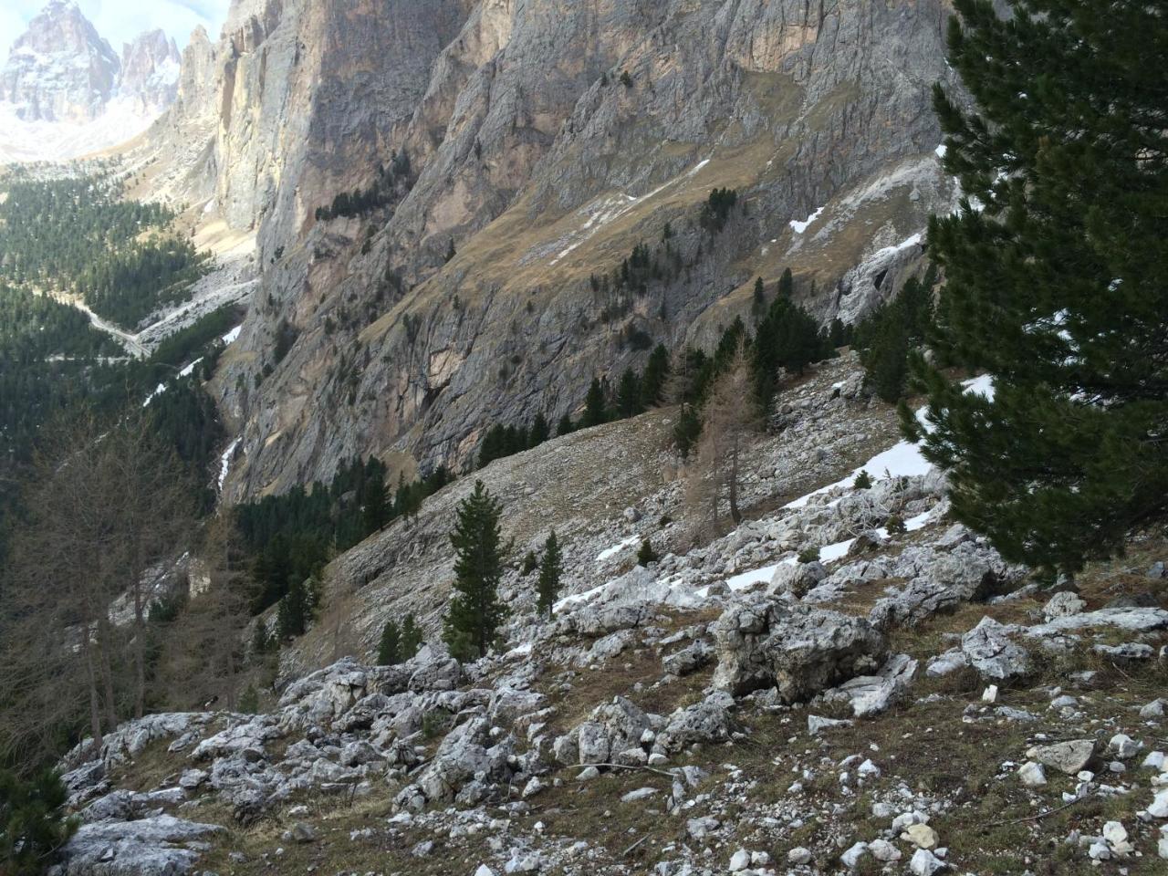 Rifugio Monti Pallidi Canazei Esterno foto